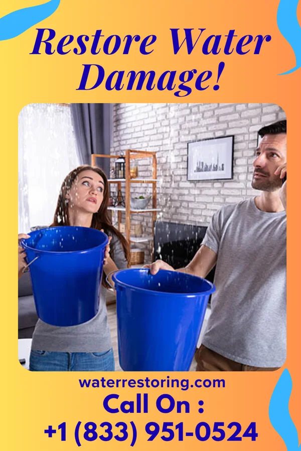 water restoration Ideal Emergency Restoration Group Milan